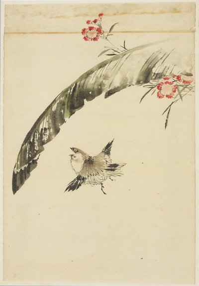 Spurv og bananblade og pink, 1615-1868 (blæk og farve på papir) af Katsushika (school of) Hokusai