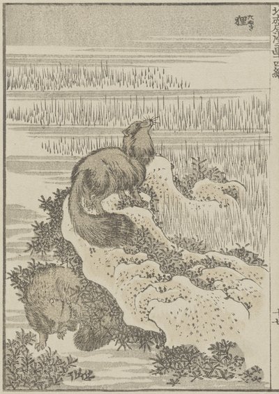 Grævling, ca. 1840 (træbloktryk) af Katsushika Hokusai