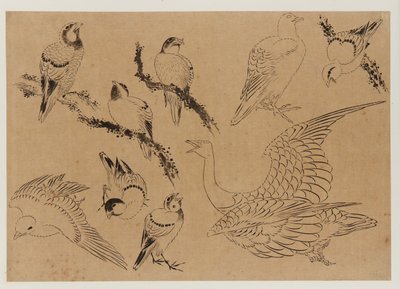 Fugle, Edo-periode, slutningen af det 18.-begyndelsen af det 19. århundrede. af Katsushika Hokusai