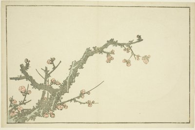 Blomstrende blommetræ, fra The Picture Book of Realistic Paintings of Hokusai (Hokusai shashin gafu), ca. 1814 (farvetræsnit (albumark)) af Katsushika Hokusai