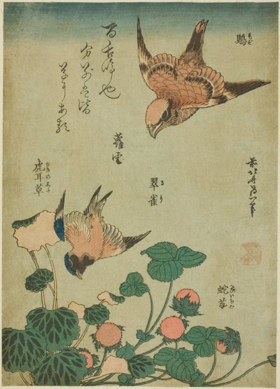 Tyrehovedet Shrike og Bluebird med Saxifrage og vilde jordbær (Mozu, ruri, yukinoshita, hebi-ichigo), fra en unavngiven serie af blomster og fugle af Katsushika Hokusai