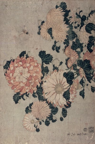 Krysantemum (farvet træblok) af Katsushika Hokusai