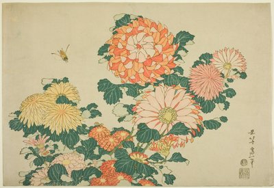 Krysantemum og bi, fra en unavngiven serie af store blomster af Katsushika Hokusai