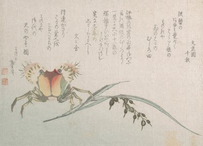 Krabbe- og risplante, 1800-tallet. af Katsushika Hokusai