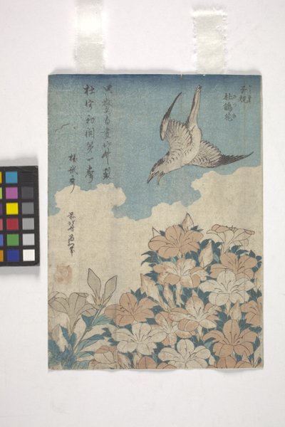 Gøg og Azalea (farvet træsnit) af Katsushika Hokusai