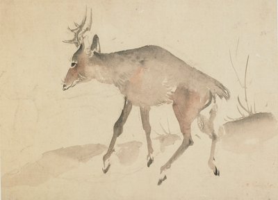 Hjort, slutningen af det 18.-begyndelsen af det 19. århundrede. af Katsushika Hokusai