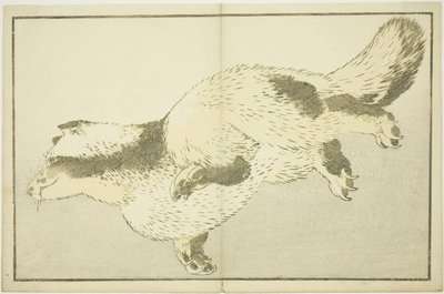 Fox, fra The Picture Book of Realistic Paintings of Hokusai (Hokusai shashin gafu) af Katsushika Hokusai
