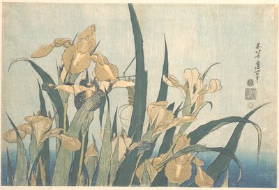 Græshoppe og iris af Katsushika Hokusai