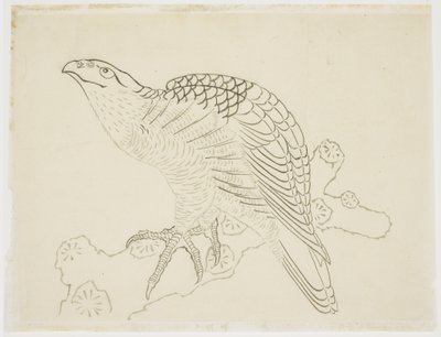 Hawk on a Branch (studie) af Katsushika Hokusai