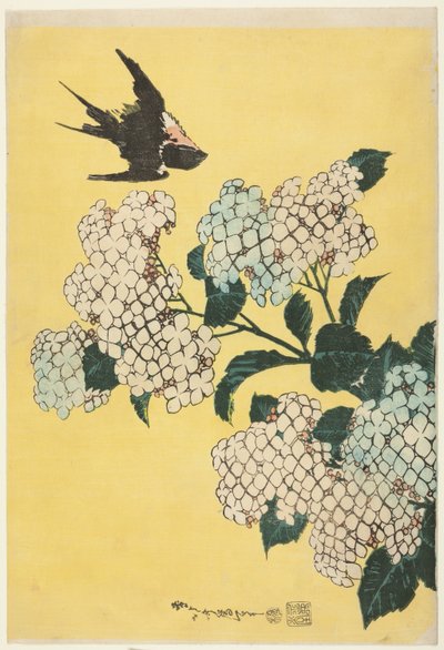 Hortensia og Svale, fra en unavngiven serie af store blomster af Katsushika Hokusai