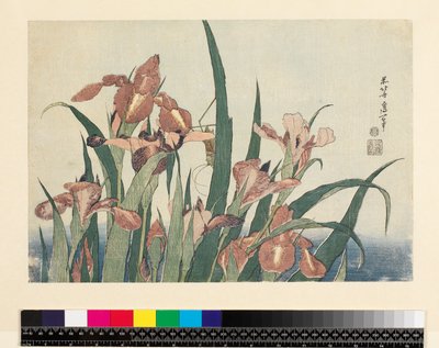 Iris og græshoppe, pub. af Nishimura Eijudo, ca. 1832, (yoko-e - vandret format, farvet træbloktryk) af Katsushika Hokusai