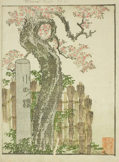 Komachi Cherry Tree (Komachi zakura), fra den illustrerede bog "Picture Book of the Amusements of the East (Ehon Azuma asobi)" af Katsushika Hokusai