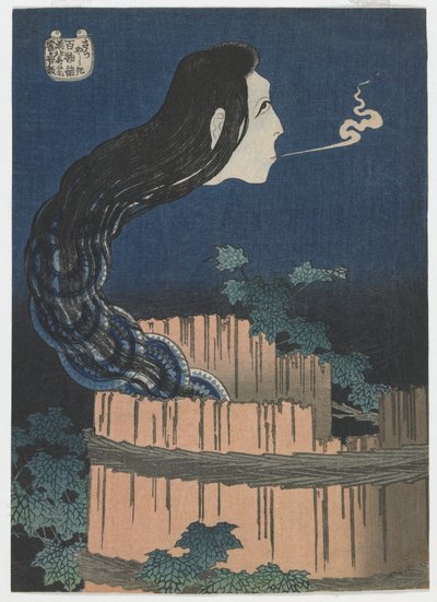 One Hundred Ghost Tales: Sarayashiki, Edo-periode, 1831-32 (træbloktryk i farver) af Katsushika Hokusai