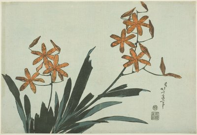 Orange orkideer, fra en unavngiven serie af blomster af Katsushika Hokusai