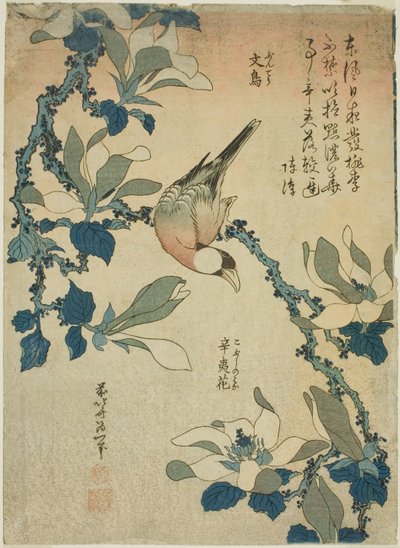 Paddy Bird and Magnolia Flowers (Buncho, kobushi no hana), fra en unavngiven serie af blomster og fugle af Katsushika Hokusai