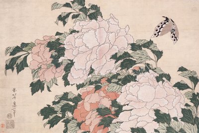 Lyserøde og røde pæoner blæst til venstre i en brise og en sommerfugl af Katsushika Hokusai