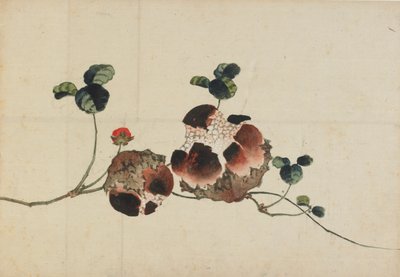 Granatæbler, slutningen af det 18.-begyndelsen af det 19. århundrede. af Katsushika Hokusai