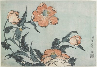 Valmuer, ca. 1832 af Katsushika Hokusai