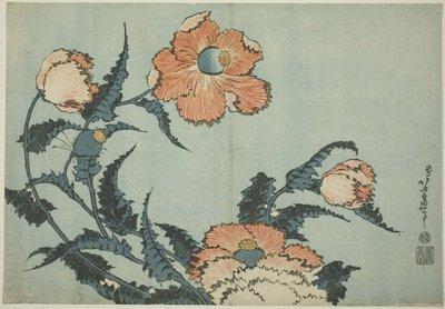 Valmuer, fra en unavngiven serie af blomster af Katsushika Hokusai