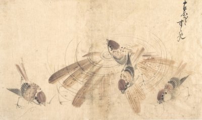 Spurve, ca. 1825. af Katsushika Hokusai