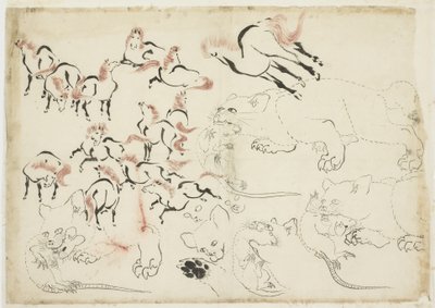 Studier af heste, katte og rotter (fra "Hokusai Manga"), ca. 1815-1849 (blæk og farve på papir) af Katsushika Hokusai