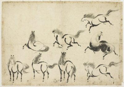 Studies of Horses, ca. 1815-1849 (blæk på papir) af Katsushika Hokusai