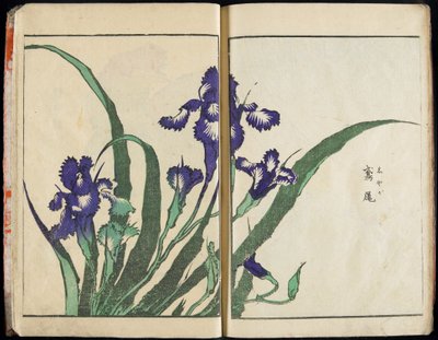 At formidle ånden og afsløre tingenes form: Hokusais billedhave, bind 1, komplet af Katsushika Hokusai