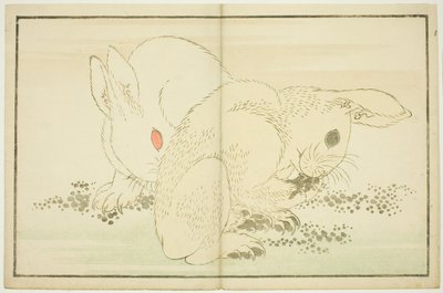 To kaniner fra The Picture Book of Realistic Paintings of Hokusai (Hokusai shashin gafu) af Katsushika Hokusai