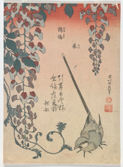 Vagtel og visteria, Edo-perioden, 1834 (farve-træsnit) af Katsushika Hokusai