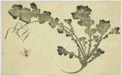 Hvepse- og majroestilk, fra "The Picture Book of Realistic Paintings of Hokusai (Hokusai shashin gafu)" af Katsushika Hokusai