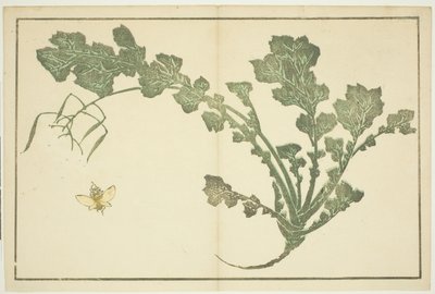 Hvepse- og majroestilk, fra "The Picture Book of Realistic Paintings of Hokusai (Hokusai shashin gafu)" af Katsushika Hokusai