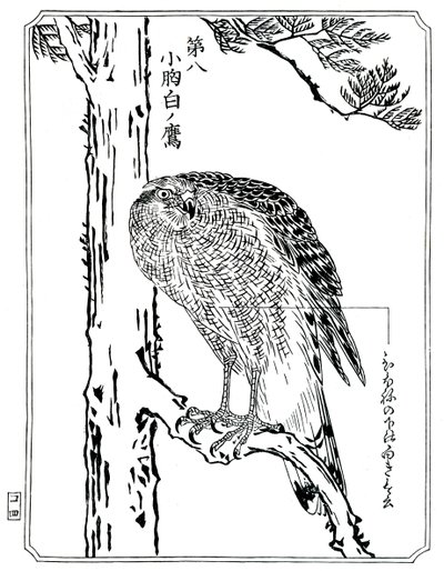 En høg, 1898. af Kawanabe Kyosai