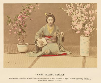 Geisha spiller samisen af Kazumasa Ogawa