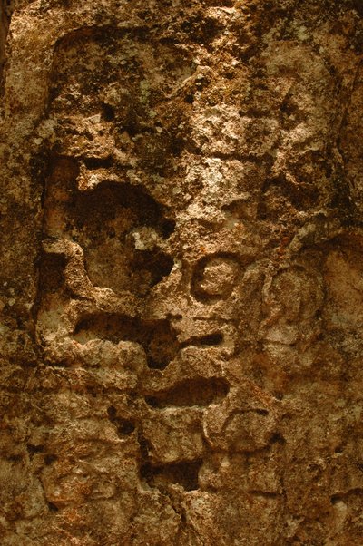 7319 Oxpemul; Maya; Oldtidskulturer; Maya; Mexico; Maya Biosphere Reserve; Ivan Spr..., 2004 (foto) af Kenneth Garrett