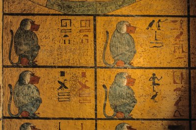 Bavianer, vægmaleri i Kong Tutankhamons grav; KV52, Kongernes Dal, Theben..., 2003 (foto) af Kenneth Garrett