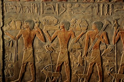 Egypten; Det Gamle Rige; Saqqara; Sakkara; Ptah Hoteps grav; Evighed af Kenneth Garrett