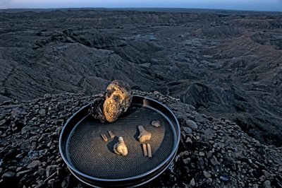 Lucys barn, Zeray Alemseged, Australopithicus Afarensis, Etiopien, palæontolog,..., 2006 (foto) af Kenneth Garrett
