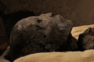 Mumie af Kong Tut, mm7864; 18. dynasti; Det Nye Rige; Det Egyptiske Museum; Cairo; Egy..., 2005 (foto) af Kenneth Garrett