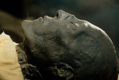 Mumie af Seti I, farao, 19. dynasti, Det Nye Rige, 2002 (foto) af Kenneth Garrett
