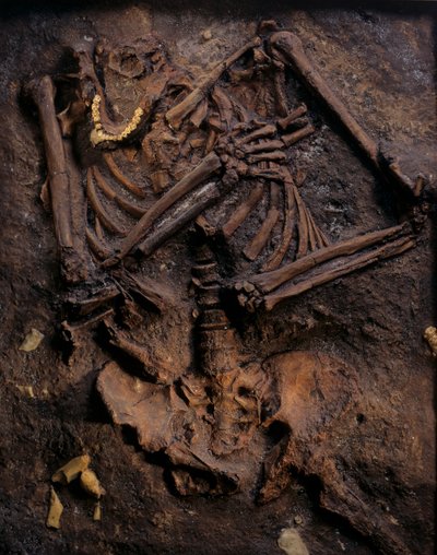 Neandertal, bemalet afstøbning, Kebara-hulen, Karmelbjerget, "Moshe", ca. 60.000BP, Israel af Kenneth Garrett