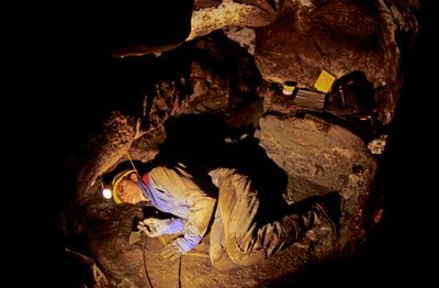 Hvem var de første amerikanere, Timothy Heaton, udgravning, On your Knees Cave, Prince..., 2008 (foto) af Kenneth Garrett