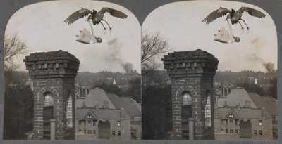 I gamle tider, hvis folk var gode, ville storken bringe en sød og smuk baby, 1907. af Keystone View Company