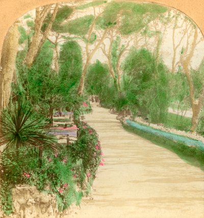 Promenade, Alameda Garden, Gibraltarklippen, 1896. af Keystone View Company