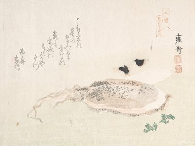 Cuttle Fish, begyndelsen af det 19. århundrede. af Kikuchi Yosai