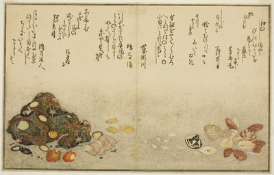 Fødder udenfor, muslinger, kogai, spurve udenfor, Akoya udenfor, plan d Katashi udenfor, fra tee st latte )” af Kitagawa Utamaro