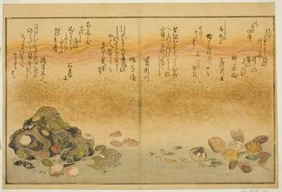 Fødder udenfor, muslinger, kogai, spurve udenfor, Akoya udenfor, ideer udenfor, fra tee st latte )” af Kitagawa Utamaro