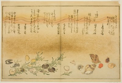 Der er Benny, der er rædsel, der er urayu-gai, waget-gai, Chiyo-no-hana-gai, plan d Masho, fra tee-lagblade af af Kitagawa Utamaro