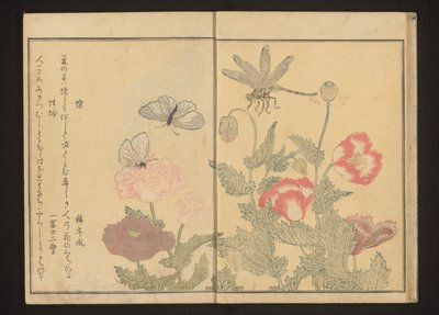 Sommerfugle og guldsmede nær valmuer af Kitagawa Utamaro