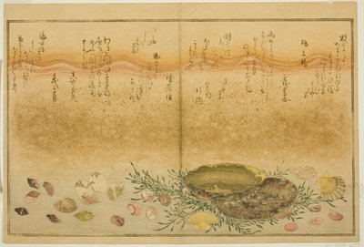 Chidori - udenfor, smerte - udenfor, abalone, bevæg dig - udenfor, muslinger - udenfor, der er en idé til Allah, fra latte-bladene af af Kitagawa Utamaro