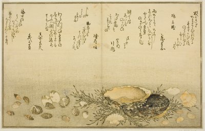 Chidori - udenfor, smerte - udenfor, abalone, bevæg dig - udenfor, muslinger - udenfor, der er en idé til Allah, fra latte-bladene af af Kitagawa Utamaro